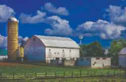 People want close to home-grownng - Cover Image